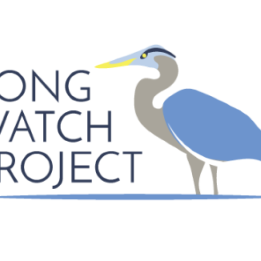 Long Watch Project
